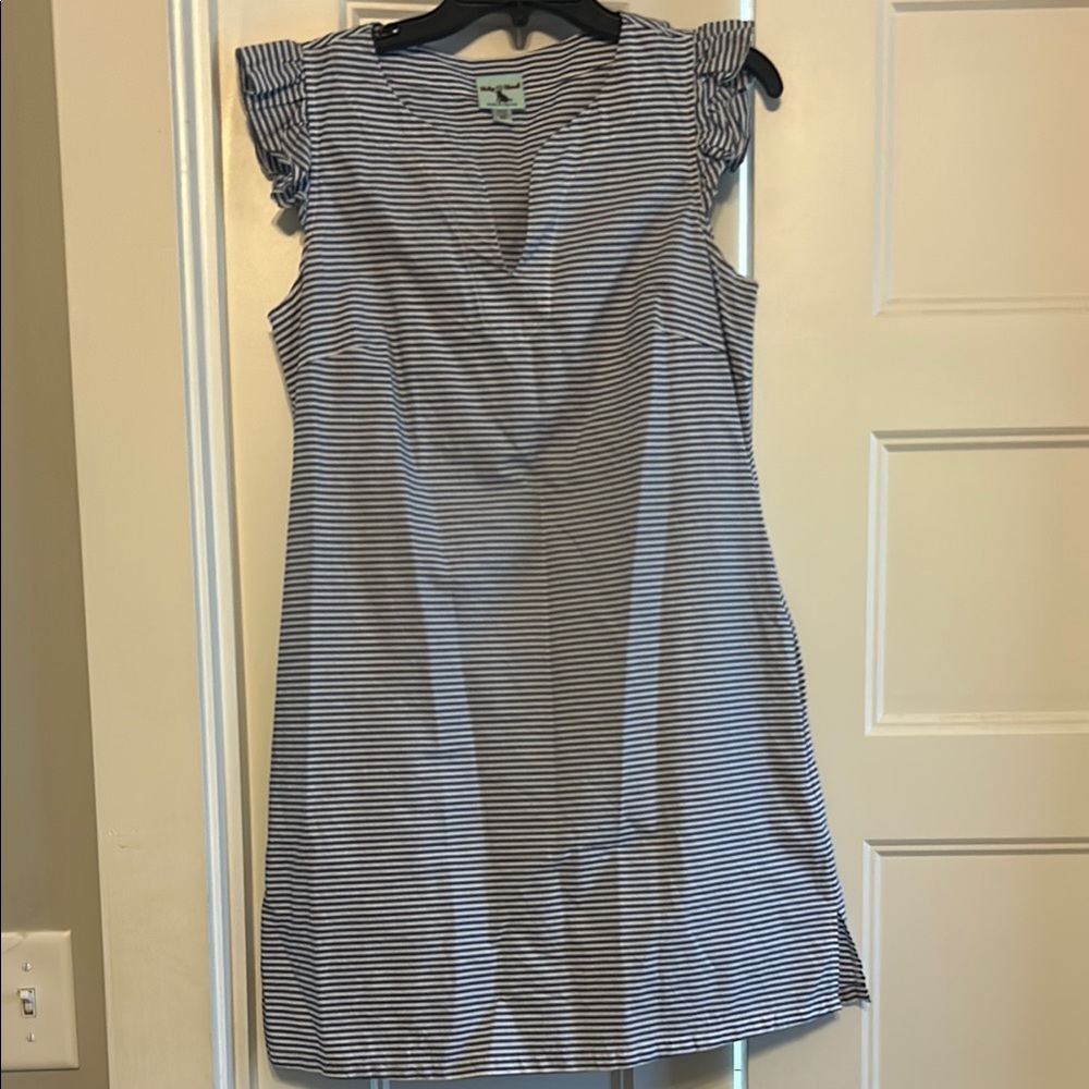 Striped Blue and White Dress